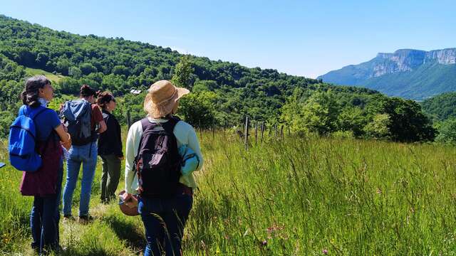 COMPLET - A la découverte des plantes sauvages comestibles et médicinales I Rendez-vous Nature en Savoie
