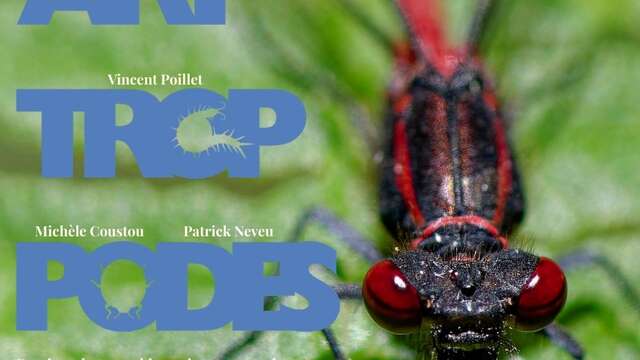 Art Trop Podes exhibition