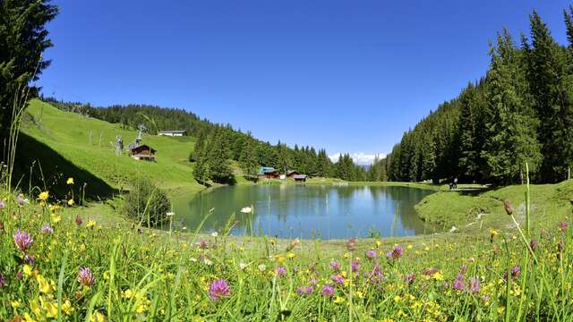 Wandern  : Plan Dessert