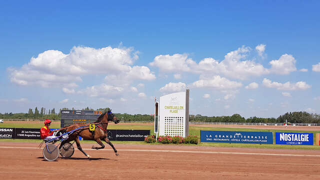 Courses à l'hippodrome