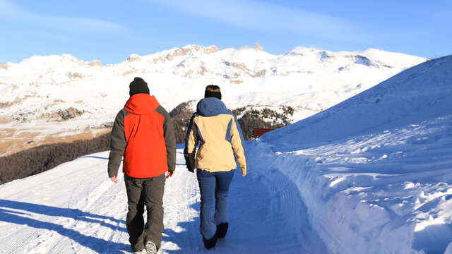 Marche nature et découverte