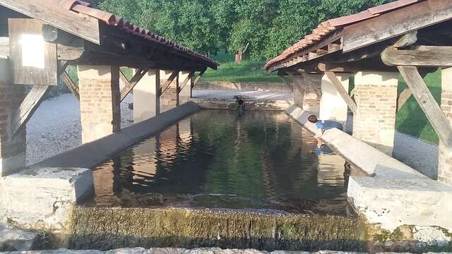 Balade - Journans, source de la Reyssouze - Lavoir de La Chanaz
