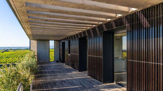 Rooftop dans les vignes !