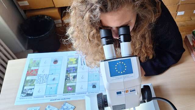 Atelier "Prends-en de la graine !"