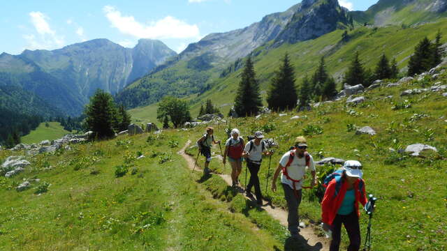 Randonnée découverte de la flore alpine