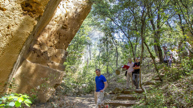 The Bibemus Quarries