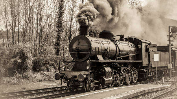 Les débuts du chemin de fer