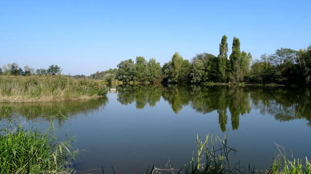 La Gravière aux Oiseaux