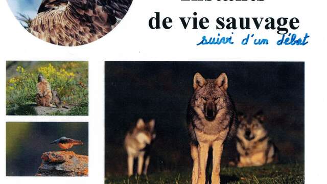 Diaporama "Instants de la vie sauvage"