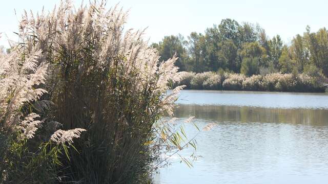 Pêche en Durance