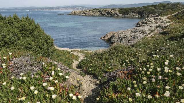 Geführte Tour: Les Embiez, die Insel mit dem Anisschatz