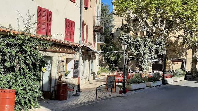 Les Marronniers