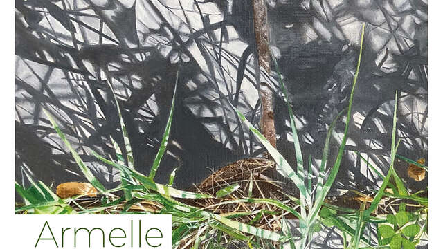 Exposition - Armelle Desvernes