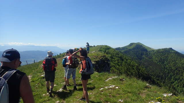 Randonnée avec un accompagnateur en montagne