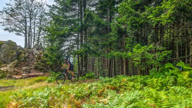 N°34 – La Ronde des Bois  - Espace VTT-FFC Massif des Bois Noirs