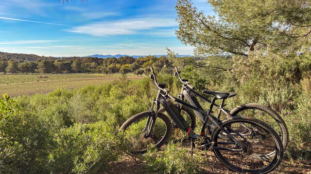 Flânerie Œnologique en VTT électrique dans les vignes à Figuière