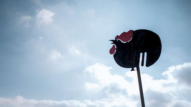 Libellules et Papillons / Balade Famille