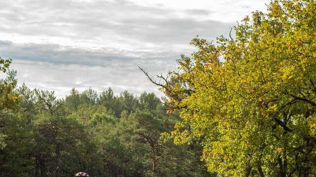 A vélo au fil de l'eau et de l'histoire singulière du Verdon - rive sud