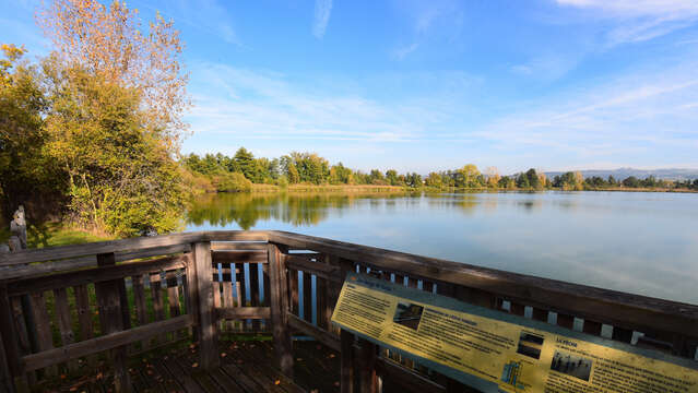 Le domaine de l’étang David