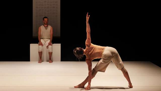 Crocrodile' - Vaison Danses au Nymphée