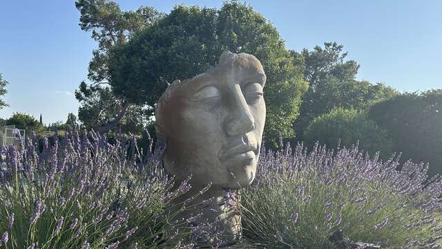 Le Camping du Lavandin