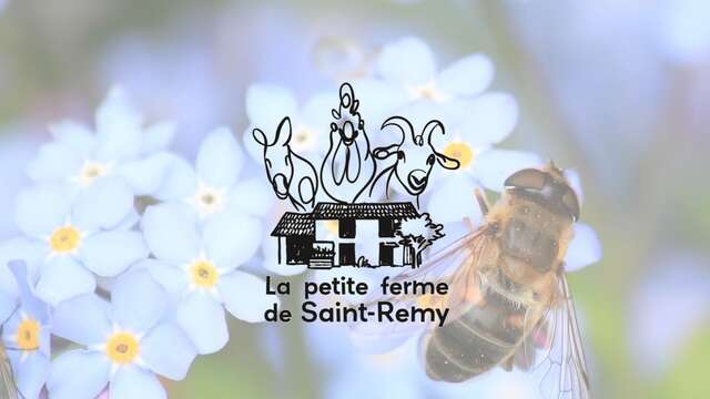 Chasse aux œufs à la Petite Ferme Pédagogique