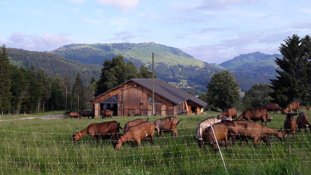 La Ferme des Moises