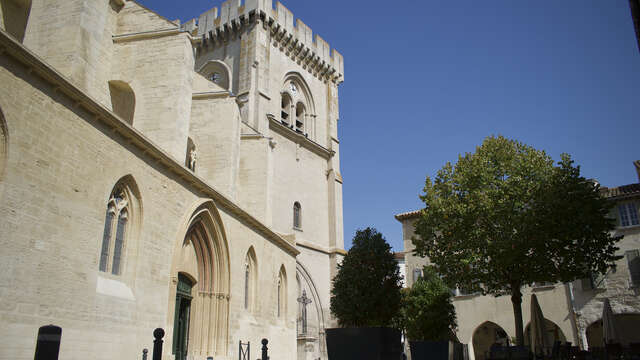 Collégiale Notre-Dame et son cloître