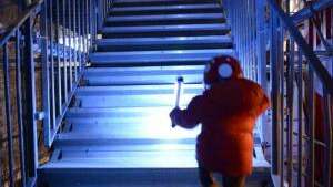 Visite guidée - Nocturnes de la maison échafaudage à Saint-Denis