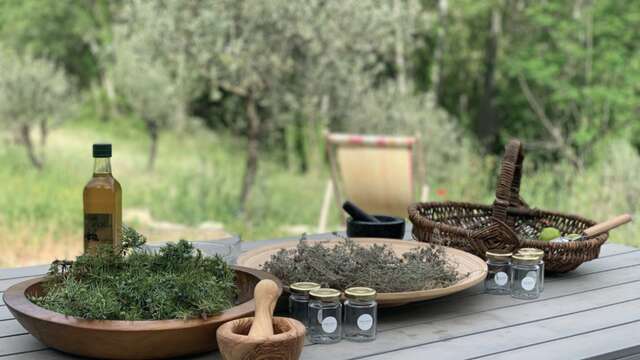 Séjour 'Plantes d'automne : herboristerie & cuisine sauvage' - Wacohe