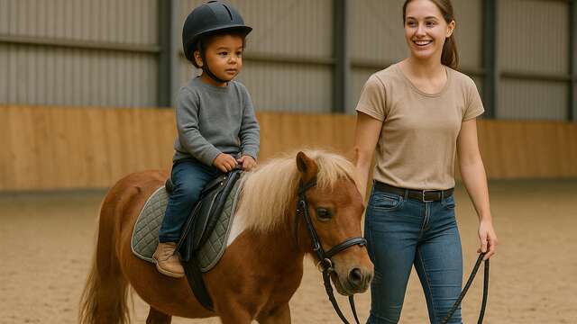 Baby poney (activité découverte)
