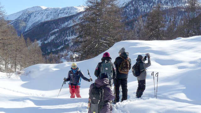 Montania Montania - Johan Mus