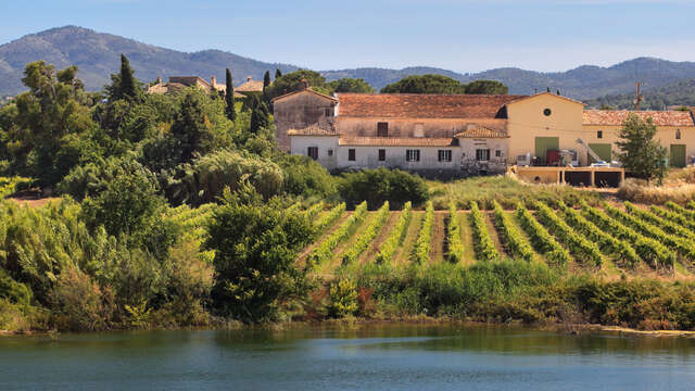 Domaine des Escaravatiers