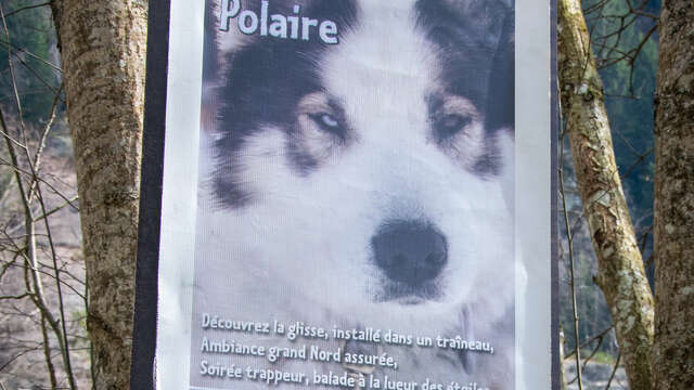 Parc du Chien Polaire