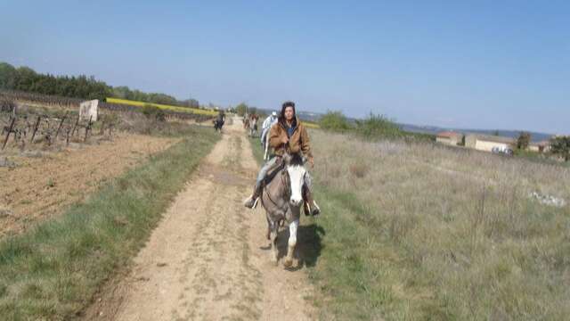 Balades à cheval