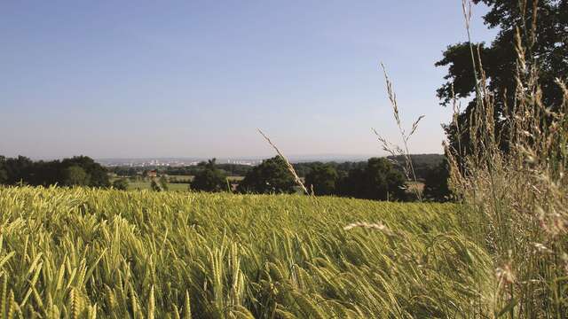 Balades en la Prévôté