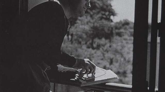 Balade nature : Giono raconte l’olivier