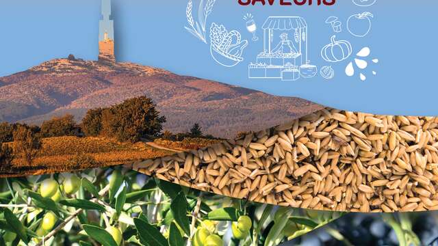 Festival „Ventoux Saveurs“ – Workshop „Pflanzen und Heilmittel“ – Wacohe und Le Moulin César