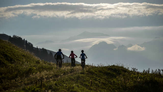 Electric mountain biking