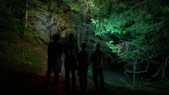 Randonnée nocturne - La grande Odyssée autrement