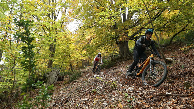 N°30 Circuit Full Gars depuis l'Arpille