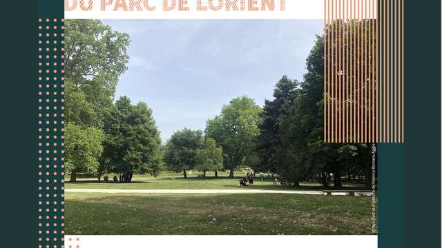 Visite guidée : Les arbres remarquables du parc de Lorient - Fête de la nature
