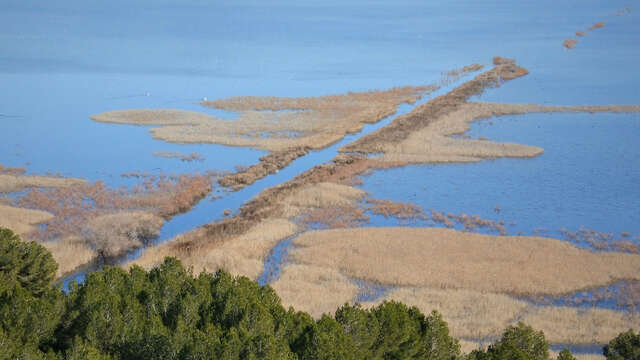 Forêt de Castillon - Etangs de Pourra et d'Engrenier