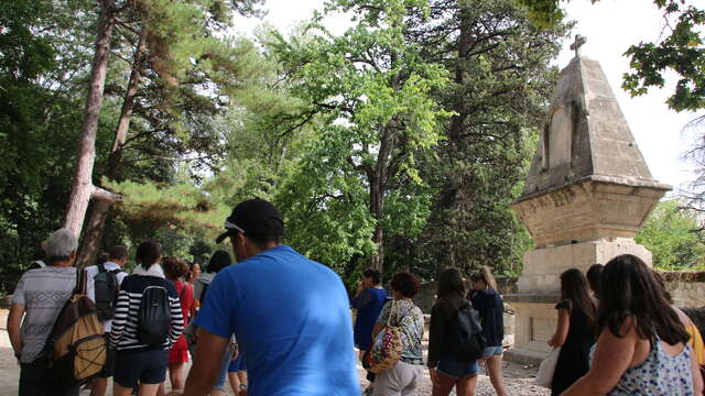 Visite flash des Alyscamps