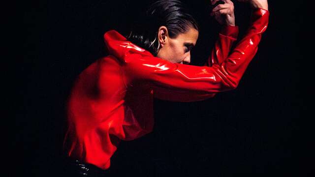 Festival - International Choreographic Meetings of Seine-Saint-Denis - Lucía García Pullés "Mother Tongue"