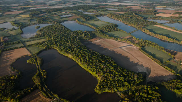 Découverte de l'Etang du Grand Béron - Natura 2000