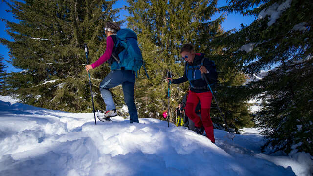 Winter wonderland (from Bisanne 1500)