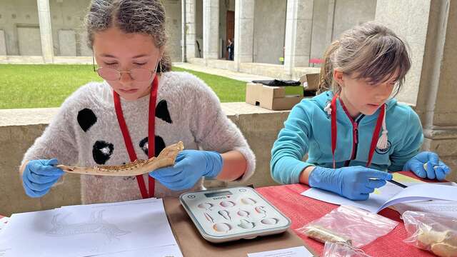 Visite-atelier 9-12 ans I Mission archéo'