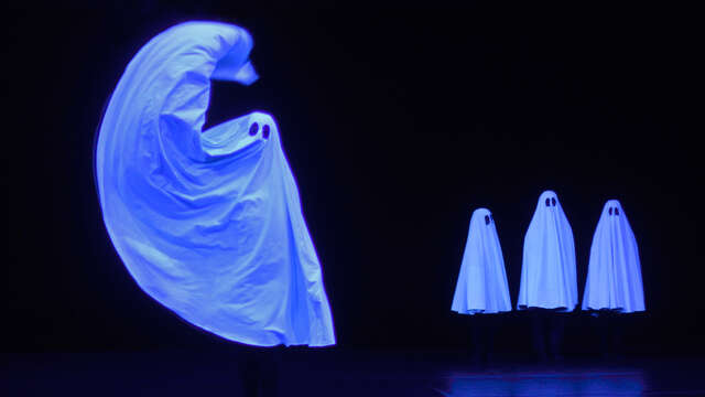Spectacle : Pillowgraphies