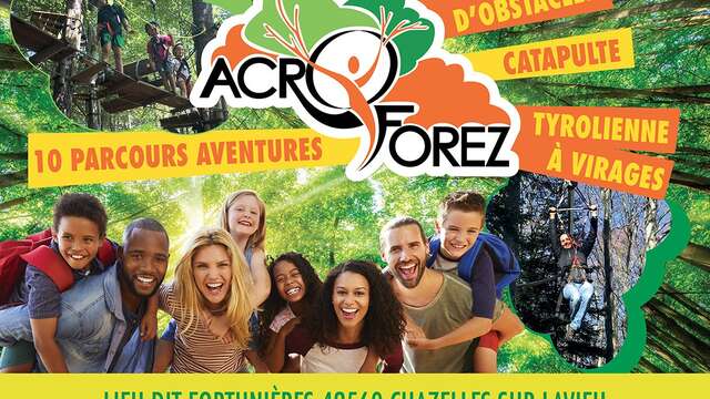 Un anniversaire dans les arbres ça vous branche ? - Acr'OForez